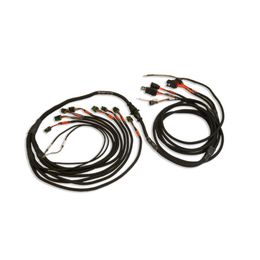 FCH-2002108803, FuelTech PRO550/600 V8 Smart Coil Harnesses 2002108803 в ОАЭ, Дубай. Состояние - новое. Цена 2 630 AED. Фото, контакты продавца | AUTO.AE
