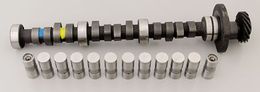 EDL-5487, Edelbrock Performer-Plus Cam and Lifter Kits 5487 в ОАЭ, Дубай. Состояние - новое. Цена 1 950 AED. Фото, контакты продавца | AUTO.AE