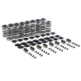 TFS-2500286P, Trick Flow® Double Platinum .660 LS Dual Valve Spring and Retainer Kits TFS-2500286P في الإمارات, دبي. Condition - new. Price 1,270 AED. Photo, seller contacts | AUTO.AE