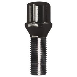 GOR-17160SDBC, Gorilla Automotive Lug Nuts and Lug Bolts 17160SDBC в ОАЭ, Дубай. Состояние - новое. Цена ⁦40 AED⁩. Фото, контакты продавца | AUTO.AE