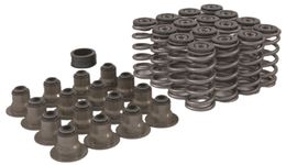 TFS-2500500, Trick Flow® Valve Spring Upgrade Kits for Ford 4.6L/5.4L 2V Engines TFS-2500500 в ОАЭ, Дубай. Состояние - новое. Цена 1 200 AED. Фото, контакты продавца | AUTO.AE