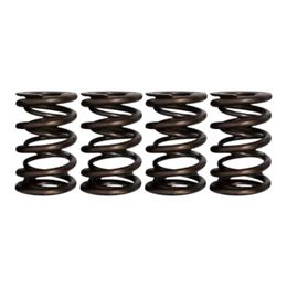 S10181, FERREA S10181 Dual Valve Springs for FORD Mustang GT (S550 / S650) / FORD F-150 (Mk13 / Mk14) in UAE, Dubai. Condition - new. Price 260 AED. Photo, seller contacts | AUTO.AE