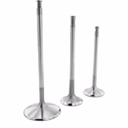 F2451P, FERREA F2451P Exhaust Valve TO/BM E 29 5.96 99.80 .5MM for TOYOTA GT Supra (A90 / A91) in UAE, Dubai. Condition - new. Price 260 AED. Photo, seller contacts | AUTO.AE