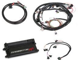 HLY-550-653, Holley Dominator EFI Vehicle Management Systems 550-653 в ОАЭ, Дубай. Состояние - новое. Цена 15 760 AED. Фото, контакты продавца | AUTO.AE