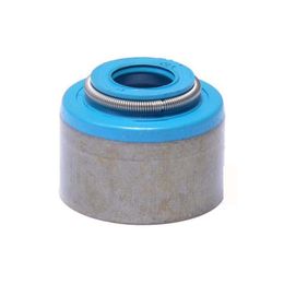 EGN-S531V-20, Enginetech Engine Valve Stem Oil Seals for 1995-1998 200SX, 1991-1993 NX, 1991-2006 SENTRA - S531V-20 в ОАЭ, Дубай. Состояние - новое. Цена 90 AED. Фото, контакты продавца | AUTO.AE