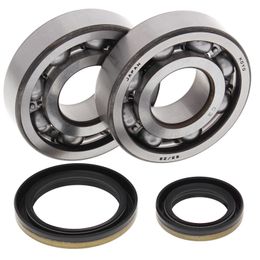 ALB-24-1021, All Balls Racing Crankshaft Bearing Kits for 1996-2002 RM250 - 22-41021 in UAE, Dubai. Condition - new. Price 510 AED. Photo, seller contacts | AUTO.AE
