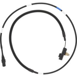 HLN-2BWS0516, Holstein Parts Brake Wear Sensors 2BWS0516 в ОАЭ, Дубай. Состояние - новое. Цена 80 AED. Фото, контакты продавца | AUTO.AE