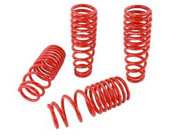 SK2-519-05-1550, Skunk2 Racing Lowering Springs for 1996-2000 CIVIC - 519-05-1550 in UAE, Dubai. Condition - new. Price 1,100 AED. Photo, seller contacts | AUTO.AE