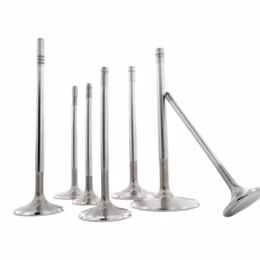 F6073, FERREA F6073 Intake Valve 6000 Competition Series for ACURA RSX 2001-2006 in UAE, Dubai. Condition - new. Price 130 AED. Photo, seller contacts | AUTO.AE