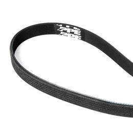 PPE-113060748, PPE Accessory Belts 113060748 في الإمارات, دبي. Condition - new. Price ⁦180 AED⁩. Photo, seller contacts | AUTO.AE