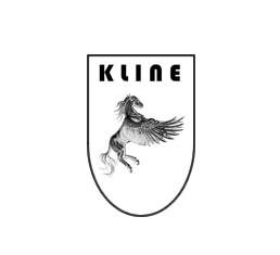 KL-POR-996CR-100-CS-SS, KLINE INNOVATION KL-POR-996CR-100-CS-SS PORSCHE 996 Carrera 100cell X pipe section (SS) в ОАЭ, Дубай. Состояние - новое. Цена 12 690 AED. Фото, контакты продавца | AUTO.AE