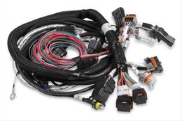 HLY-558-116, Holley EFI Systems Wiring Harnesses 558-116 in UAE, Dubai. Condition - new. Price 3,650 AED. Photo, seller contacts | AUTO.AE