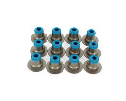 BTC-VSV6HATKIT, Brian Tooley Racing Engine Valve Stem Oil Seals VS V6 HAT KIT في الإمارات, دبي. Condition - new. Price ⁦140 AED⁩. Photo, seller contacts | AUTO.AE