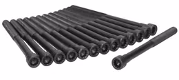 AJU-81016700, Ajusa Cylinder Head Bolt Sets 81016700 in UAE, Dubai. Condition - new. Price 530 AED. Photo, seller contacts | AUTO.AE