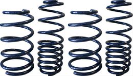 SDA-555-8220, Steeda Sport Suspension Springs for 2005-2013 MUSTANG - 555-8220 in UAE, Dubai. Condition - new. Price 1,910 AED. Photo, seller contacts | AUTO.AE