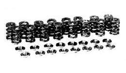 26165, MANLEY 26165 Valve springs and retainer kit NISSAN SR20DE/T в ОАЭ, Дубай. Состояние - новое. Цена 1 610 AED. Фото, контакты продавца | AUTO.AE