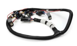 FST-301210, FAST XFI Fuel Injector Harnesses 301210 في الإمارات, دبي. Condition - new. Price 900 AED. Photo, seller contacts | AUTO.AE
