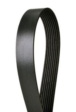 CEL-4080810X, Continental Extreme-Duty Series Poly-V Belts 4080810X in UAE, Dubai. Condition - new. Price 240 AED. Photo, seller contacts | AUTO.AE