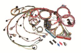 PRF-60218, Painless Performance Fuel Injection Harnesses 60218 في الإمارات, دبي. Condition - new. Price 3,160 AED. Photo, seller contacts | AUTO.AE