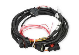 HLY-558-461, Holley Drive-By-Wire Throttle Body Wiring Harnesses for 2005-2010 MUSTANG - 558-461 في الإمارات, دبي. Condition - new. Price 2,150 AED. Photo, seller contacts | AUTO.AE