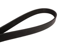 CEL-4060978, Continental OE Technology Series Multi-V Belts for 2013-2014 A8 QUATTRO - 4060978 in UAE, Dubai. Condition - new. Price 210 AED. Photo, seller contacts | AUTO.AE