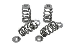 KVS26-BT, KELFORD KVS26-BT Valve Springs and Titanium Retainers for NISSAN RB26DETT Engine في الإمارات, دبي. Condition - new. Price 3,820 AED. Photo, seller contacts | AUTO.AE