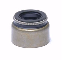 EGN-S9249-20, Enginetech Engine Valve Stem Oil Seals S9249-20 в ОАЭ, Дубай. Состояние - новое. Цена 130 AED. Фото, контакты продавца | AUTO.AE
