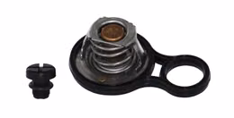 RIN-CTZ0043, Rein Automotive OE Quality Thermostat Inserts for 2002-2008 COOPER - CTZ0043 in UAE, Dubai. Condition - new. Price 90 AED. Photo, seller contacts | AUTO.AE