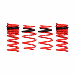 4.9528, EIBACH 4.9528 Lowering Springs Sportline, 4pcs for DODGE Challenger SRT8 / R/T 2008-2024 in UAE, Dubai. Condition - new. Price 2,400 AED. Photo, seller contacts | AUTO.AE