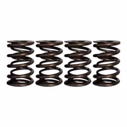 S99103, FERREA S99103 Dual Valve Springs SB LT2 Pro Dual .925 1275 for CHEVROLET Corvette (C8) in UAE, Dubai. Condition - new. Price 270 AED. Photo, seller contacts | AUTO.AE