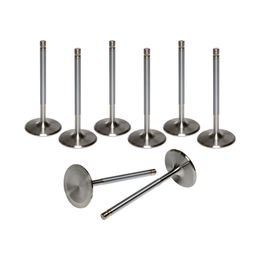 AFR-7257-8, AFR Replacement Stainless Steel Valves 7257-8 في الإمارات, دبي. Condition - new. Price 900 AED. Photo, seller contacts | AUTO.AE