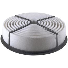 DNP-143-3037, Denso Air Filter Elements for 1990-2000 LS400 - 143-3037 في الإمارات, دبي. Condition - new. Price ⁦130 AED⁩. Photo, seller contacts | AUTO.AE