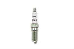 ACC-579C1, ACCEL C-Cut Performance Spark Plugs 579C1 in UAE, Dubai. Condition - new. Price 50 AED. Photo, seller contacts | AUTO.AE
