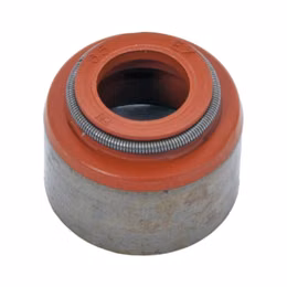 NAL-12564852, Chevrolet Performance Valve Stem Seals 12564852 في الإمارات, دبي. Condition - new. Price 70 AED. Photo, seller contacts | AUTO.AE