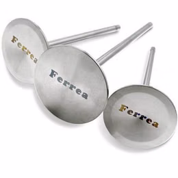 F2237P, FERREA F2237P Racing Competition intake Valves+1mm R35 GT-R VR38 (need 12 pcs) in UAE, Dubai. Condition - new. Price 180 AED. Photo, seller contacts | AUTO.AE
