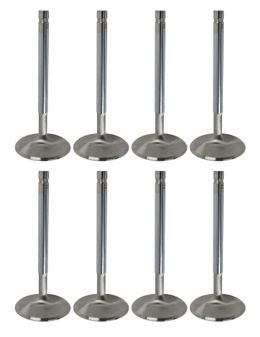 MAN-11568-8, Manley Race Series Stainless Steel Valves 11568-8 в ОАЭ, Дубай. Состояние - новое. Цена 910 AED. Фото, контакты продавца | AUTO.AE