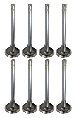 MAN-10077-8, Manley Budget Series Replacement Valves 10077-8 في الإمارات, دبي. Condition - new. Price 360 AED. Photo, seller contacts | AUTO.AE