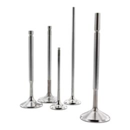 F0516, FERREA F0516 Exhaust Valve HO E 26.5 4.97 80.9 1.6 for HONDA CRF 250R 2004-2018 в ОАЭ, Дубай. Состояние - новое. Цена 180 AED. Фото, контакты продавца | AUTO.AE