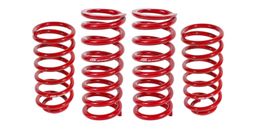 BMR-SP027R, BMR Lowering Springs for 1979-2004 MUSTANG - SP027R in UAE, Dubai. Condition - new. Price 1,100 AED. Photo, seller contacts | AUTO.AE