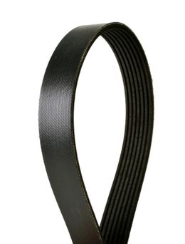 CEL-4070538, Continental OE Technology Series Multi-V Belts for 2011-2012 750I, 750LI - 4070538 in UAE, Dubai. Condition - new. Price 230 AED. Photo, seller contacts | AUTO.AE