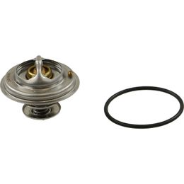 RIN-CTN0076, Rein Automotive OE Quality Thermostat Inserts CTN0076 في الإمارات, دبي. Condition - new. Price 70 AED. Photo, seller contacts | AUTO.AE