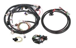 HLY-558-508, Holley EFI Systems Wiring Harnesses 558-508 في الإمارات, دبي. Condition - new. Price 2,640 AED. Photo, seller contacts | AUTO.AE