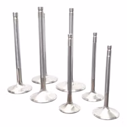 F2055P, FERREA F2055P Exhaust Valve with Hollow Stem SB E 1550 3413 4910 .285 for CHEVROLET Corvette Z06 (C7) / Chevrolet Camaro ZL1 (Mk6) / Cadillac CTS-V (Mk3) в ОАЭ, Дубай. Состояние - новое. Цена 290 AED. Фото, контакты продавца | AUTO.AE