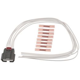 SMP-S2507, Standard Motor Wiring Connectors S2507 in UAE, Dubai. Condition - new. Price 360 AED. Photo, seller contacts | AUTO.AE
