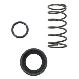 TIL-54-446, Tilton Replacement Starter Spring Kits 54-446 في الإمارات, دبي. Condition - new. Price 40 AED. Photo, seller contacts | AUTO.AE