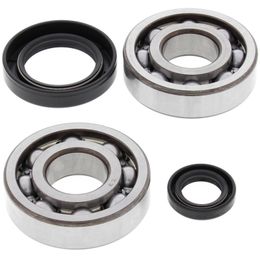ALB-24-1004, All Balls Racing Crankshaft Bearing Kits for 1984-1991 CR250R, 1984-2001 CR500R - 22-41004 в ОАЭ, Дубай. Состояние - новое. Цена 420 AED. Фото, контакты продавца | AUTO.AE