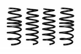 EIB-E10230360122, Eibach Pro-Kit Lowering Springs for 2020-2022 CORVETTE - E10-23-036-01-22 in UAE, Dubai. Condition - new. Price 2,390 AED. Photo, seller contacts | AUTO.AE