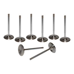 AFR-7252-8, AFR Replacement Stainless Steel Valves 7252-8 في الإمارات, دبي. Condition - new. Price 710 AED. Photo, seller contacts | AUTO.AE