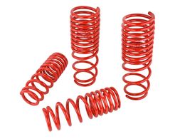 SK2-519-05-1630, Skunk2 Racing Lowering Springs for 1990-1997 ACCORD - 519-05-1630 in UAE, Dubai. Condition - new. Price 1,100 AED. Photo, seller contacts | AUTO.AE