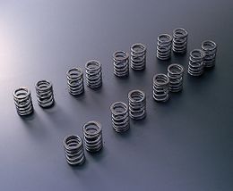 TA304A-MT01A, TOMEI TA304A-MT01A valve springs for MITSUBISHI 4G63 في الإمارات, دبي. Condition - new. Price 1,070 AED. Photo, seller contacts | AUTO.AE